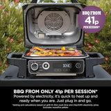Ninja Woodfire Electric 7-in-1 BBQ Grill & Smoker, Grey/Black OG701UK