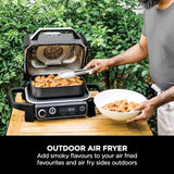 Ninja Woodfire Electric 7-in-1 BBQ Grill & Smoker, Grey/Black OG701UK